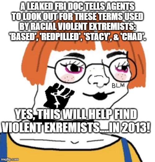 Woke wojak | A LEAKED FBI DOC TELLS AGENTS TO LOOK OUT FOR THESE TERMS USED BY RACIAL VIOLENT EXTREMISTS: 'BASED', 'REDPILLED', 'STACY', & 'CHAD'. YES, THIS WILL HELP FIND VIOLENT EXREMISTS....IN 2013! | image tagged in woke wojak | made w/ Imgflip meme maker