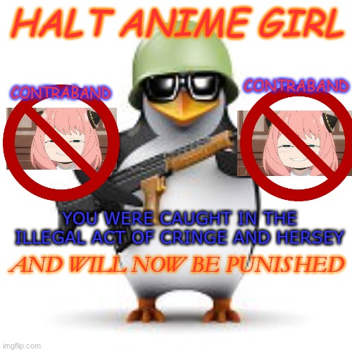 no anime penguin | HALT ANIME GIRL; CONTRABAND; CONTRABAND; YOU WERE CAUGHT IN THE ILLEGAL ACT OF CRINGE AND HERSEY; AND WILL NOW BE PUNISHED | image tagged in no anime penguin | made w/ Imgflip meme maker