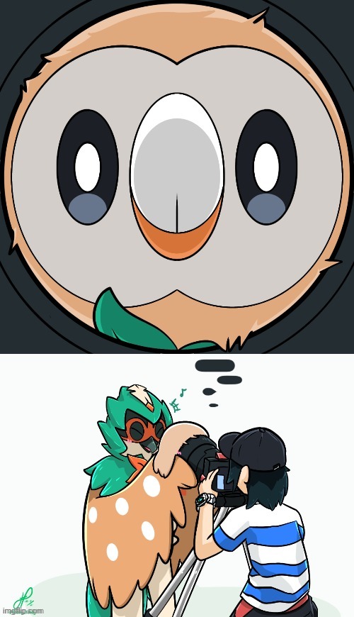 image tagged in rowlet | made w/ Imgflip meme maker