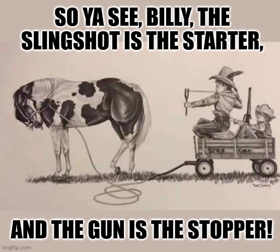 Just Horsing Around | SO YA SEE, BILLY, THE SLINGSHOT IS THE STARTER, AND THE GUN IS THE STOPPER! | image tagged in kids,horses,wagons,guns,bad ideas | made w/ Imgflip meme maker