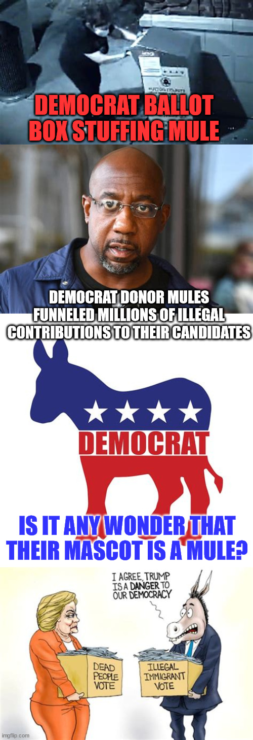 When you put it all together... | DEMOCRAT BALLOT BOX STUFFING MULE; DEMOCRAT DONOR MULES FUNNELED MILLIONS OF ILLEGAL CONTRIBUTIONS TO THEIR CANDIDATES; IS IT ANY WONDER THAT THEIR MASCOT IS A MULE? | image tagged in crooked,democrat,cheaters,election fraud | made w/ Imgflip meme maker