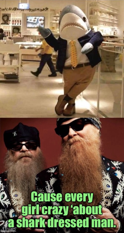 ZZ Shark | Cause every girl crazy ‘about a shark dressed man. | image tagged in zz top,sharp dressed man,shark | made w/ Imgflip meme maker