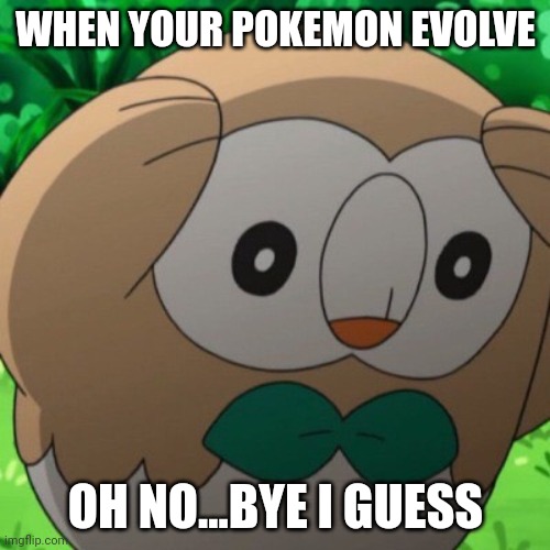 Sad | WHEN YOUR POKEMON EVOLVE; OH NO...BYE I GUESS | image tagged in rowlet meme template | made w/ Imgflip meme maker