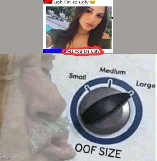 Oof size large | image tagged in oof size large | made w/ Imgflip meme maker