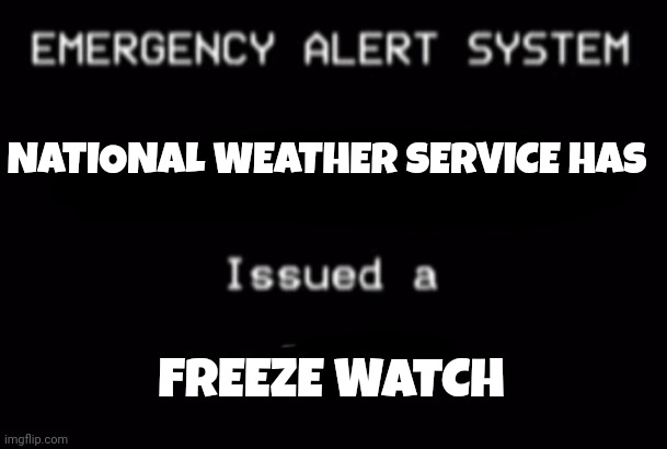 Emergency Alert System | NATIONAL WEATHER SERVICE HAS; FREEZE WATCH | image tagged in emergency alert system | made w/ Imgflip meme maker