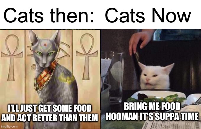 They never changed their ways | Cats then:; Cats Now; BRING ME FOOD HOOMAN IT’S SUPPA TIME; I’LL JUST GET SOME FOOD AND ACT BETTER THAN THEM | image tagged in cat | made w/ Imgflip meme maker