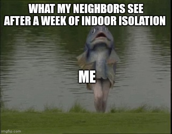 WHAT MY NEIGHBORS SEE AFTER A WEEK OF INDOOR ISOLATION; ME | image tagged in manfish | made w/ Imgflip meme maker