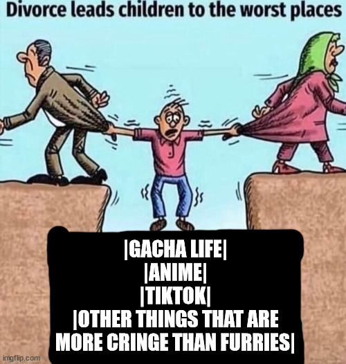 Divorce leads children to the worst places | |GACHA LIFE|
|ANIME|
|TIKTOK|
|OTHER THINGS THAT ARE
MORE CRINGE THAN FURRIES| | image tagged in divorce leads children to the worst places | made w/ Imgflip meme maker