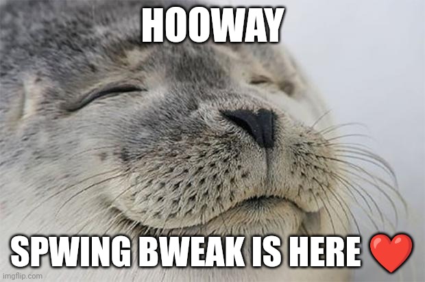 Until the 16th for me | HOOWAY; SPWING BWEAK IS HERE ❤ | image tagged in memes,satisfied seal | made w/ Imgflip meme maker