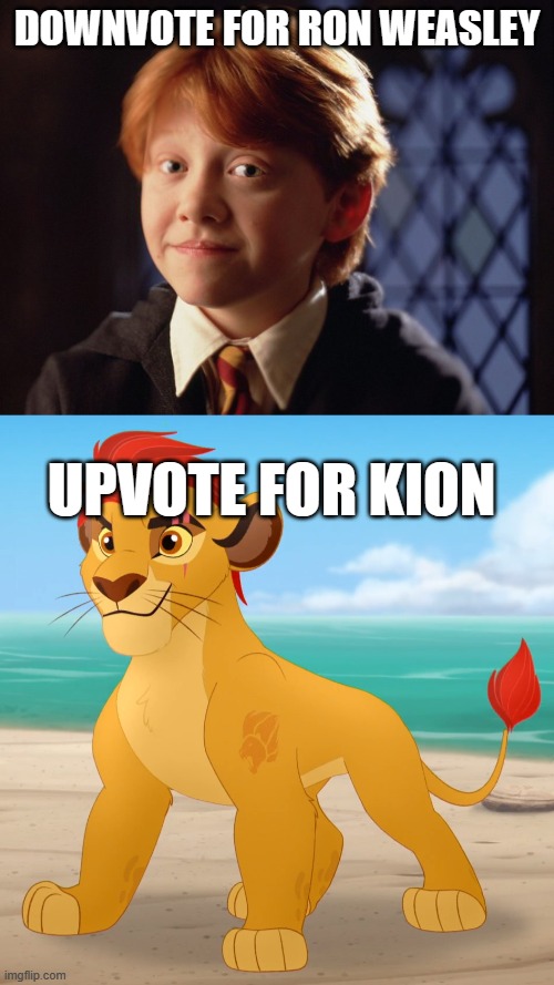 DOWNVOTE FOR RON WEASLEY; UPVOTE FOR KION | image tagged in ron weasley,rare footage | made w/ Imgflip meme maker