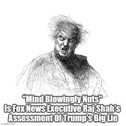 Fox News Assesses Trump As "Mind Blowingly Nuts" | "Mind Blowingly Nuts" 
Is Fox News Executive Raj Shah's 
Assessment Of Trump's Big Lie | image tagged in trump,lunacy,mind blowingly nuts,crazy,trump cult | made w/ Imgflip meme maker