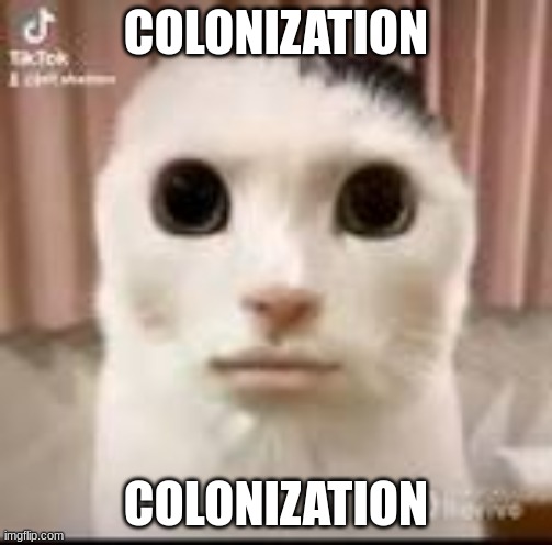 Regarding what recently happened to this stream: | COLONIZATION; COLONIZATION | image tagged in world cuuuuuuuuuuuuuuuuuuuu | made w/ Imgflip meme maker