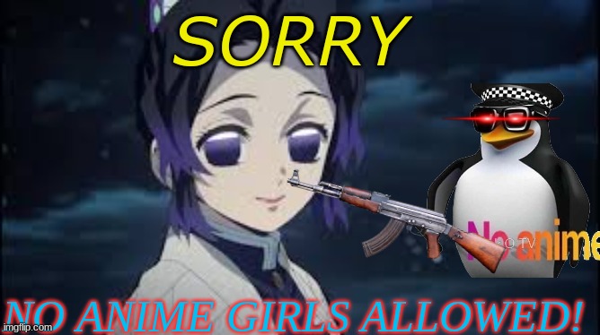 NO ANIME ALLOWED | SORRY; NO ANIME GIRLS ALLOWED! | image tagged in shinobu dead look,no anime penguin | made w/ Imgflip meme maker