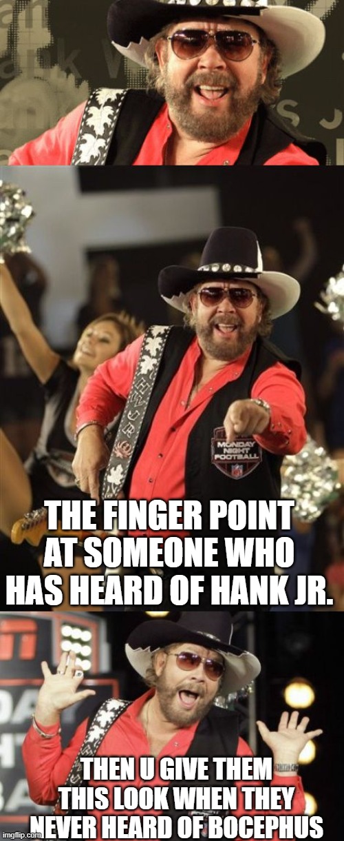 Bad Pun Hank Jr | THE FINGER POINT AT SOMEONE WHO HAS HEARD OF HANK JR. THEN U GIVE THEM THIS LOOK WHEN THEY NEVER HEARD OF BOCEPHUS | image tagged in bad pun hank jr | made w/ Imgflip meme maker