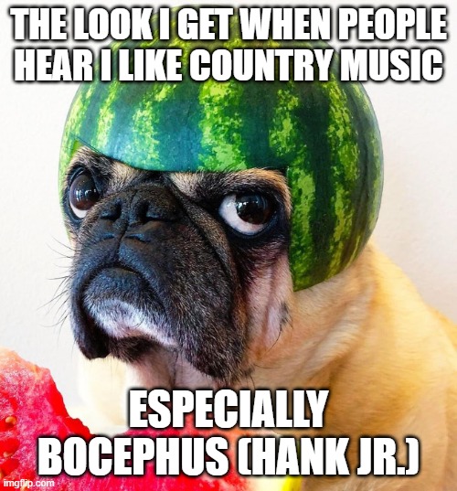 THE LOOK I GET WHEN PEOPLE HEAR I LIKE COUNTRY MUSIC; ESPECIALLY BOCEPHUS (HANK JR.) | image tagged in country music | made w/ Imgflip meme maker