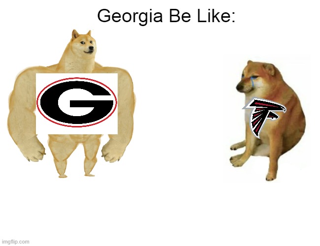 Georgia: | Georgia Be Like: | image tagged in memes,buff doge vs cheems | made w/ Imgflip meme maker