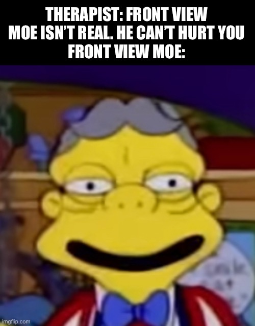 THERAPIST: FRONT VIEW MOE ISN’T REAL. HE CAN’T HURT YOU
FRONT VIEW MOE: | image tagged in front view character | made w/ Imgflip meme maker