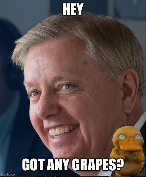 Hey Girl Lindsey Graham | HEY GOT ANY GRAPES? | image tagged in hey girl lindsey graham | made w/ Imgflip meme maker