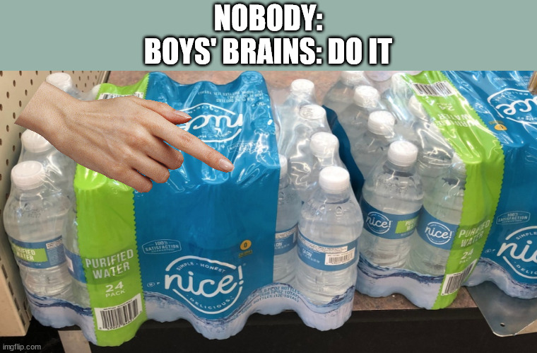 . | NOBODY:
BOYS' BRAINS: DO IT | image tagged in do it,boys,brain,water bottle | made w/ Imgflip meme maker