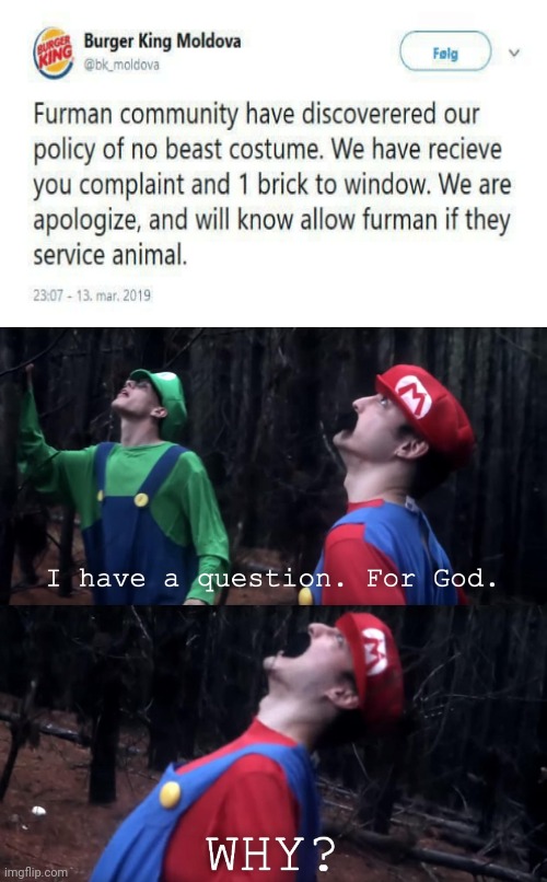 A sad day for us all... | image tagged in i have a question for god,why,mario,furries,burger king,anti furry | made w/ Imgflip meme maker