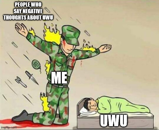 I have a feeling 99% of you will downvote. You have every right to. Just, please do not put rude comments about me liking UwU | PEOPLE WHO SAY NEGATIVE THOUGHTS ABOUT UWU; ME; UWU | image tagged in soldier protecting sleeping child | made w/ Imgflip meme maker