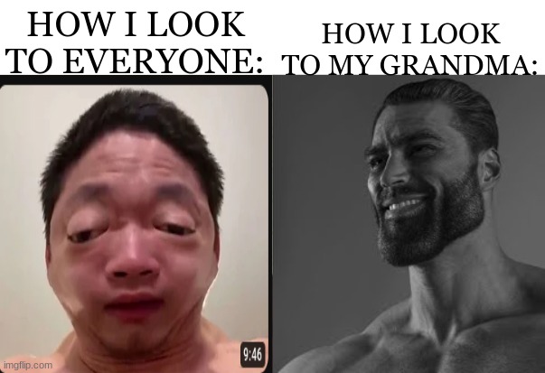 HOW I LOOK TO EVERYONE:; HOW I LOOK TO MY GRANDMA: | image tagged in average enjoyer meme | made w/ Imgflip meme maker