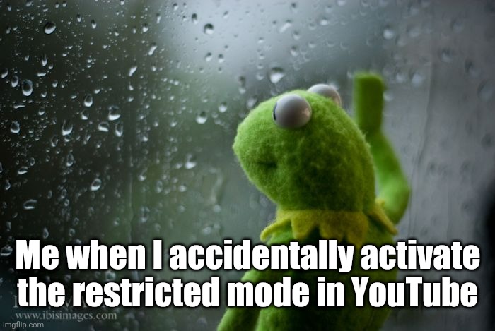 Thanks, now I cannot view the comments | Me when I accidentally activate the restricted mode in YouTube | image tagged in kermit window,memes,youtube | made w/ Imgflip meme maker