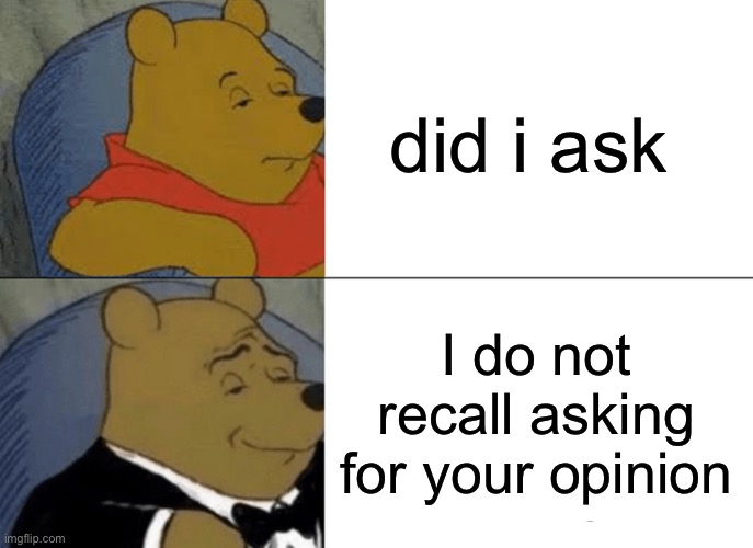 Tuxedo Winnie The Pooh Meme | did i ask; I do not recall asking for your opinion | image tagged in memes,tuxedo winnie the pooh | made w/ Imgflip meme maker