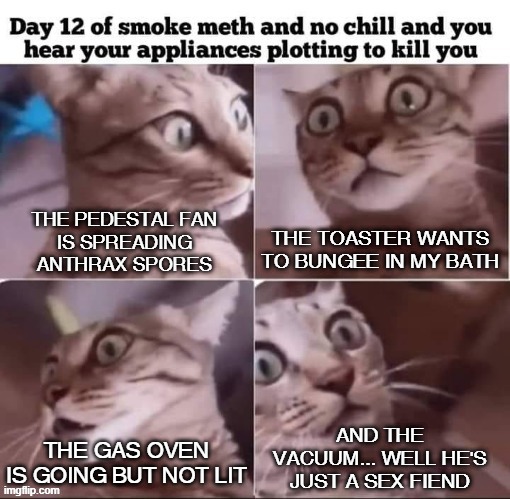 Meth cat | AND THE VACUUM... WELL HE'S JUST A SEX FIEND; THE GAS OVEN IS GOING BUT NOT LIT | image tagged in drugs,appliances | made w/ Imgflip meme maker