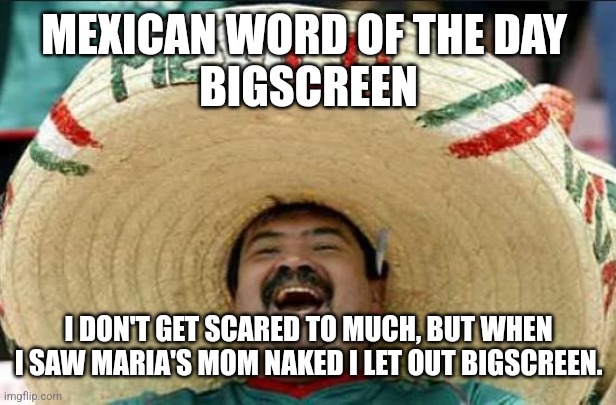 mexican word of the day | MEXICAN WORD OF THE DAY 
BIGSCREEN; I DON'T GET SCARED TO MUCH, BUT WHEN I SAW MARIA'S MOM NAKED I LET OUT BIGSCREEN. | image tagged in mexican word of the day | made w/ Imgflip meme maker