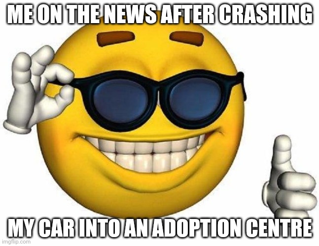 Thumbs Up Emoji | ME ON THE NEWS AFTER CRASHING; MY CAR INTO AN ADOPTION CENTRE | image tagged in thumbs up emoji | made w/ Imgflip meme maker