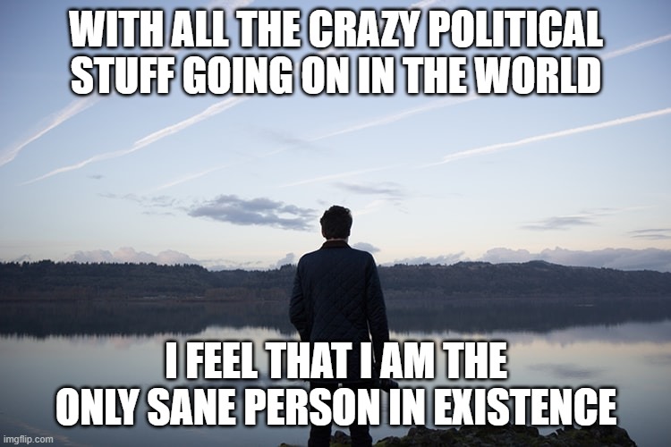 Alone | WITH ALL THE CRAZY POLITICAL STUFF GOING ON IN THE WORLD; I FEEL THAT I AM THE ONLY SANE PERSON IN EXISTENCE | image tagged in staring at the distance | made w/ Imgflip meme maker