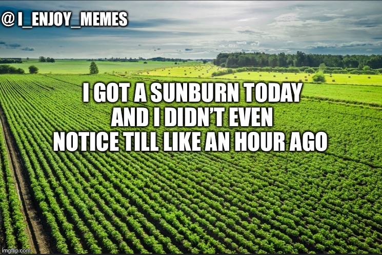 I_enjoy_memes_template | I GOT A SUNBURN TODAY AND I DIDN’T EVEN NOTICE TILL LIKE AN HOUR AGO | image tagged in i_enjoy_memes_template | made w/ Imgflip meme maker