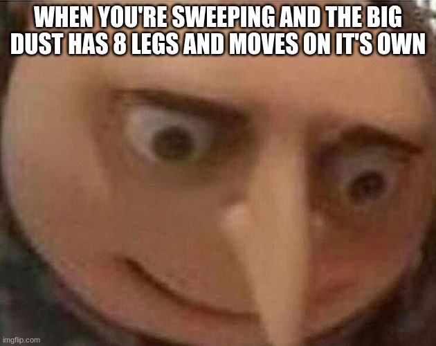 Welp say goodbye to the house | WHEN YOU'RE SWEEPING AND THE BIG DUST HAS 8 LEGS AND MOVES ON IT'S OWN | image tagged in gru meme | made w/ Imgflip meme maker