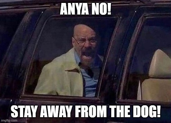 Walter White Screaming At Hank | ANYA NO! STAY AWAY FROM THE DOG! | image tagged in walter white screaming at hank | made w/ Imgflip meme maker