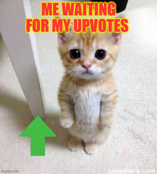 free upvotes | ME WAITING FOR MY UPVOTES | image tagged in memes,upvote,fun,meme,lol,funny | made w/ Imgflip meme maker