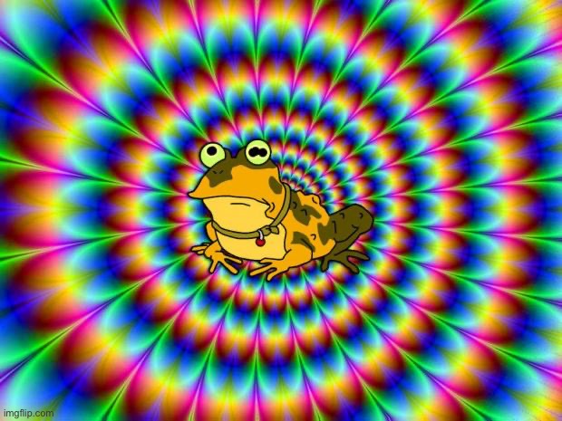 Acid trip | image tagged in hypnotoad | made w/ Imgflip meme maker