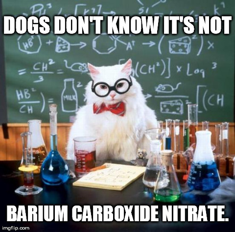 Chemistry Cat | DOGS DON'T KNOW IT'S NOT BARIUM CARBOXIDE NITRATE. | image tagged in memes,chemistry cat | made w/ Imgflip meme maker