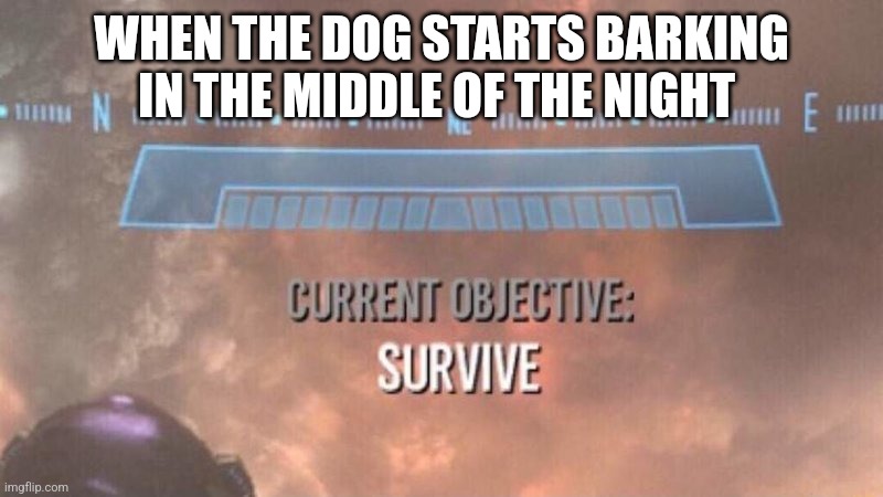 This is why I'd rather have a cat around | WHEN THE DOG STARTS BARKING IN THE MIDDLE OF THE NIGHT | image tagged in current objective survive,memes,relatable | made w/ Imgflip meme maker