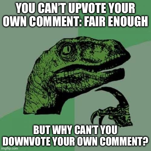 Downvoting comments | YOU CAN’T UPVOTE YOUR OWN COMMENT: FAIR ENOUGH; BUT WHY CAN’T YOU DOWNVOTE YOUR OWN COMMENT? | image tagged in memes,philosoraptor,downvote,upvote | made w/ Imgflip meme maker