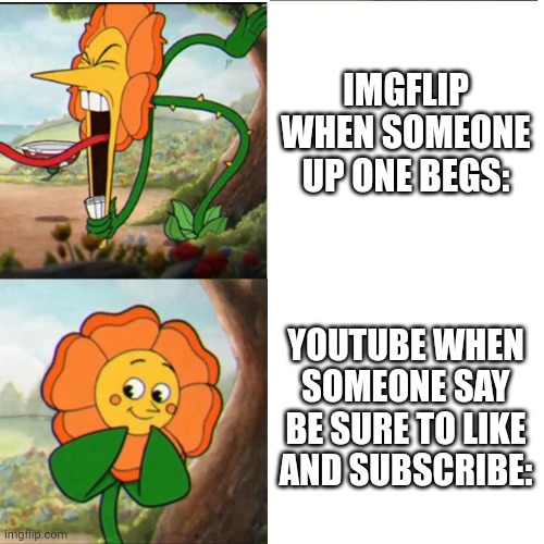 Tell me in the comments why this happens cuz idk why. | IMGFLIP WHEN SOMEONE UP ONE BEGS:; YOUTUBE WHEN SOMEONE SAY BE SURE TO LIKE AND SUBSCRIBE: | image tagged in cuphead flower | made w/ Imgflip meme maker