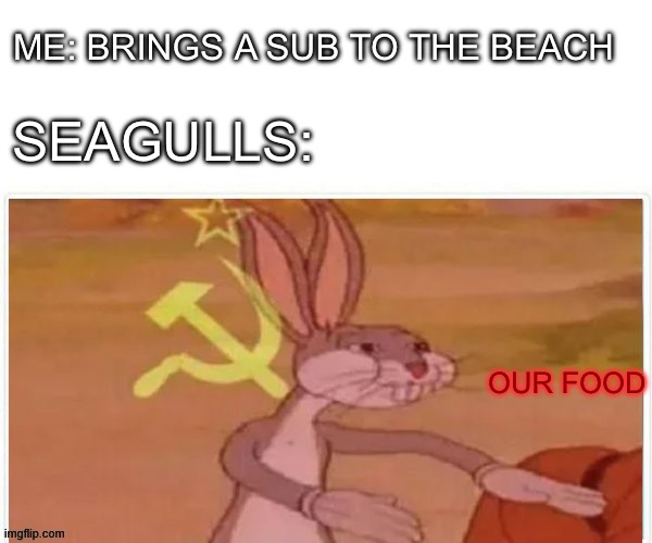 communist bugs bunny | ME: BRINGS A SUB TO THE BEACH; SEAGULLS:; OUR FOOD | image tagged in communist bugs bunny | made w/ Imgflip meme maker