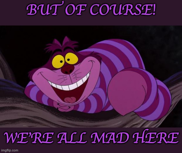 Cheshire Cat | BUT OF COURSE! WE'RE ALL MAD HERE | image tagged in cheshire cat | made w/ Imgflip meme maker