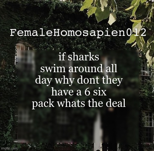 FemaleHomosapien012 | if sharks swim around all day why dont they have a 6 six pack whats the deal | image tagged in femalehomosapien012 | made w/ Imgflip meme maker