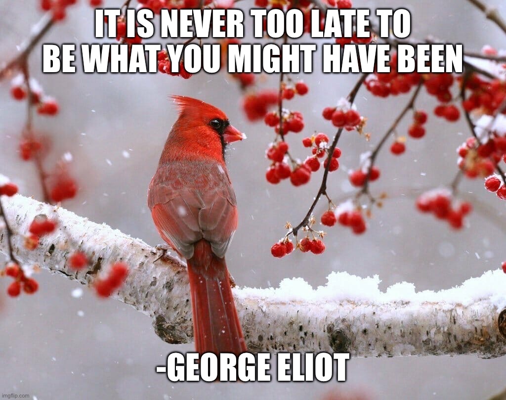 IT IS NEVER TOO LATE TO BE WHAT YOU MIGHT HAVE BEEN; -GEORGE ELIOT | image tagged in memes,motivational | made w/ Imgflip meme maker