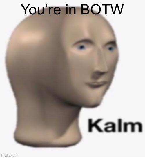 Meme man kalm | You’re in BOTW | image tagged in meme man kalm | made w/ Imgflip meme maker