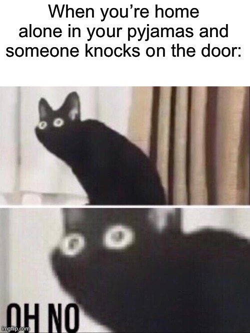 It’s so embarrassing when you answer the door | When you’re home alone in your pyjamas and someone knocks on the door: | image tagged in oh no cat,memes,funuy,oops spelling mistakes,i meant,funny | made w/ Imgflip meme maker