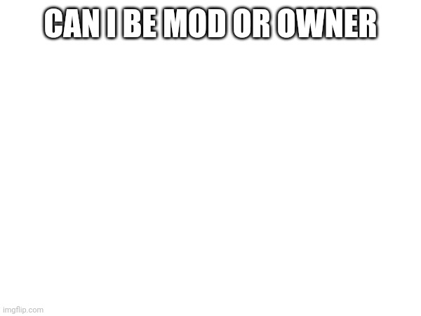 CAN I BE MOD OR OWNER | made w/ Imgflip meme maker