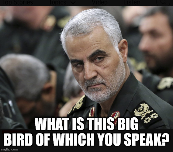 Iran General | WHAT IS THIS BIG BIRD OF WHICH YOU SPEAK? | image tagged in iran general | made w/ Imgflip meme maker