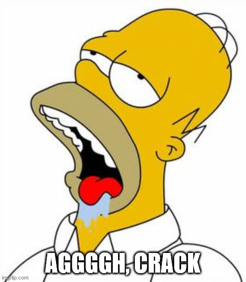 Homer Simpson doughnut  | AGGGGH, CRACK | image tagged in homer simpson doughnut | made w/ Imgflip meme maker